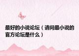最好的小说论坛（请问最小说的官方论坛是什么）