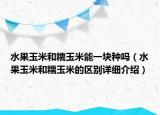 水果玉米和糯玉米能一块种吗（水果玉米和糯玉米的区别详细介绍）