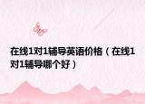 在线1对1辅导英语价格（在线1对1辅导哪个好）