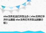 xlsx文件无法打开怎么办（xlsx文件打不开什么原因 xlsx文件打不开怎么回事介绍）