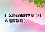 什么是双轨制学制（什么是双轨制）