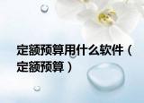 定额预算用什么软件（定额预算）