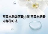 苹果电脑如何看内存 苹果电脑看内存的方法