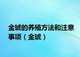 金琥的养殖方法和注意事项（金琥）