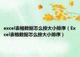 excel表格数据怎么按大小排序（Excel表格数据怎么按大小排序）