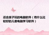 适合孩子玩的电脑软件（有什么比较好的儿童电脑学习软件）