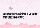 vscode如何调成中文（vscode怎样设置成中文呢）
