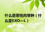 什么是恶性肉芽肿（什么是EXO—L）