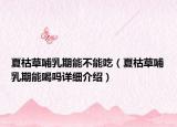 夏枯草哺乳期能不能吃（夏枯草哺乳期能喝吗详细介绍）