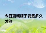 今日更新粽子要煮多久才熟
