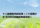 十二面相有关的动漫（二十面相少女 BONES改编的电视动画）