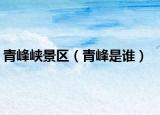 青峰峡景区（青峰是谁）