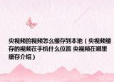 央视频的视频怎么缓存到本地（央视频缓存的视频在手机什么位置 央视频在哪里缓存介绍）