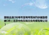 鍖椾含涓紶骞夸笟骞垮憡浼犳挱鏈夐檺鍏徃（北京中传在线文化传媒有限公司）