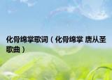 化骨绵掌歌词（化骨绵掌 唐从圣歌曲）