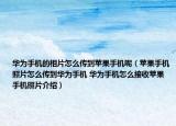 华为手机的相片怎么传到苹果手机呢（苹果手机照片怎么传到华为手机 华为手机怎么接收苹果手机照片介绍）