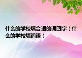 什么的学校填合适的词四字（什么的学校填词语）