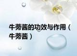 牛蒡酱的功效与作用（牛蒡酱）