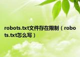 robots.txt文件存在限制（robots.txt怎么写）