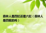森林人是四缸还是六缸（森林人是四驱的吗）