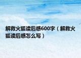 解救火狐读后感600字（解救火狐读后感怎么写）