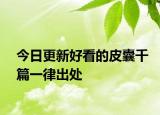 今日更新好看的皮囊千篇一律出处