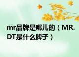 mr品牌是哪儿的（MR.DT是什么牌子）