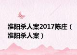 淮阳杀人案2017陈庄（淮阳杀人案）