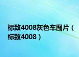 标致4008灰色车图片（标致4008）