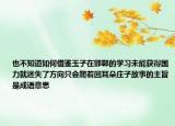也不知道如何借鉴玉子在邯郸的学习未能获得国力就迷失了方向只会爬着回耳朵庄子故事的主旨是成语意思
