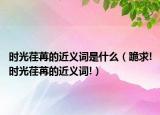 时光荏苒的近义词是什么（跪求!时光荏苒的近义词!）