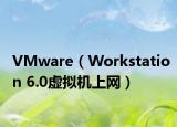 VMware（Workstation 6.0虚拟机上网）