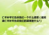 亡羊补牢它告诉我们一个什么道理（谁知道亡羊补牢告诉我们的道理是什么?）