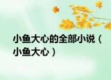 小鱼大心的全部小说（小鱼大心）
