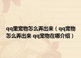 qq里宠物怎么弄出来（qq宠物怎么弄出来 qq宠物在哪介绍）