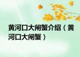 黄河口大闸蟹介绍（黄河口大闸蟹）