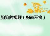 狗狗的视频（狗彘不食）