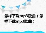 怎样下载mp3歌曲（怎样下载mp3歌曲）
