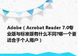Adobe（Acrobat Reader 7.0专业版与标准版有什么不同?哪一个更适合于个人用户）