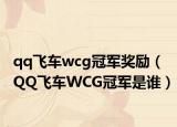 qq飞车wcg冠军奖励（QQ飞车WCG冠军是谁）