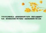 下列分类正确的是()a  .鲨鱼鱿鱼鲸鱼属于鱼类b  .鹦鹉孔雀蝙蝠属于鸟类c  .银杏侧柏苏铁属于裸子植物d  .蛇蚯蚓短吻鳄属于爬行动物