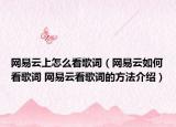 网易云上怎么看歌词（网易云如何看歌词 网易云看歌词的方法介绍）
