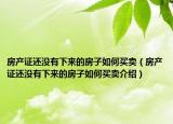 房产证还没有下来的房子如何买卖（房产证还没有下来的房子如何买卖介绍）