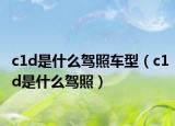 c1d是什么驾照车型（c1d是什么驾照）