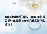 excel有哪些扩展名（excel的扩展名是什么意思 excel扩展名是什么介绍）