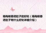 杨梅核吞进肚子的好处（杨梅核吞进肚子有什么好处详细介绍）