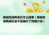 核酸检测两条杠怎么回事（核酸检测两道杠是不是确诊了详细介绍）