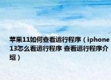 苹果11如何查看运行程序（iphone13怎么看运行程序 查看运行程序介绍）
