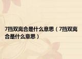 7挡双离合是什么意思（7挡双离合是什么意思）