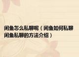 闲鱼怎么私聊呢（闲鱼如何私聊 闲鱼私聊的方法介绍）